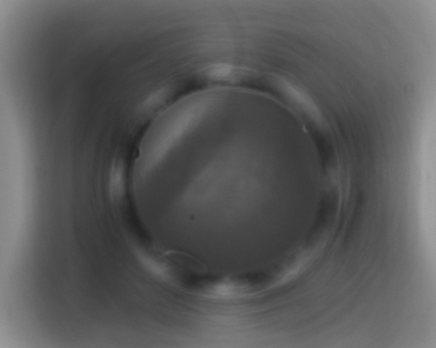 X0000114410504200910231135