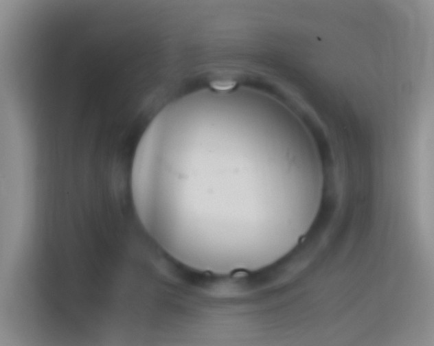 X0000114410505200910231135