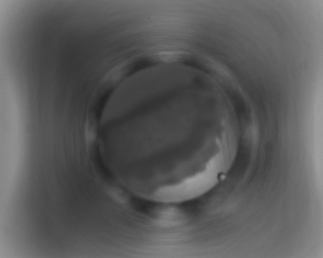 X0000114410507200910231135