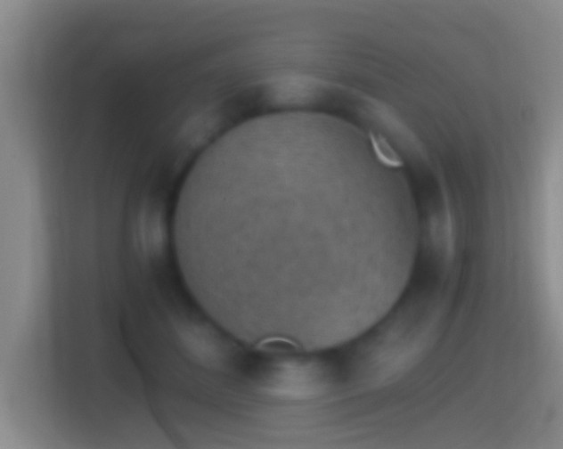 X0000114410508200910231135