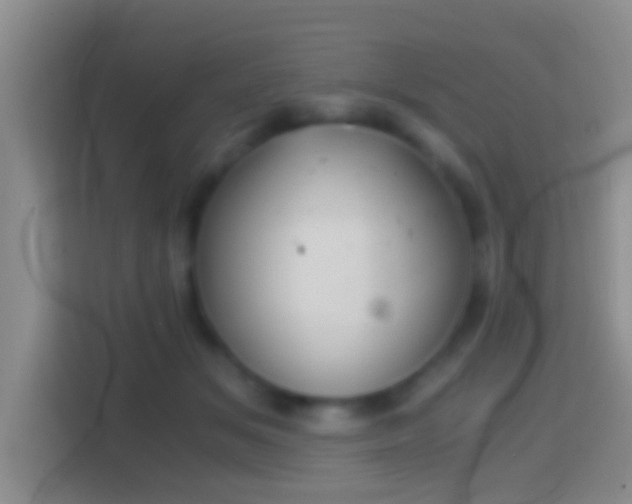 X0000114410509200910231135