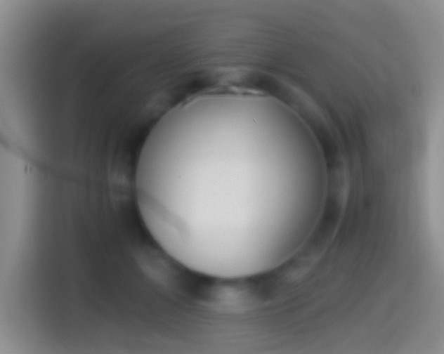 X0000114410510200910231135