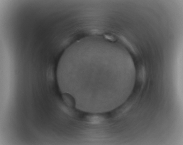 X0000114410512200910231135