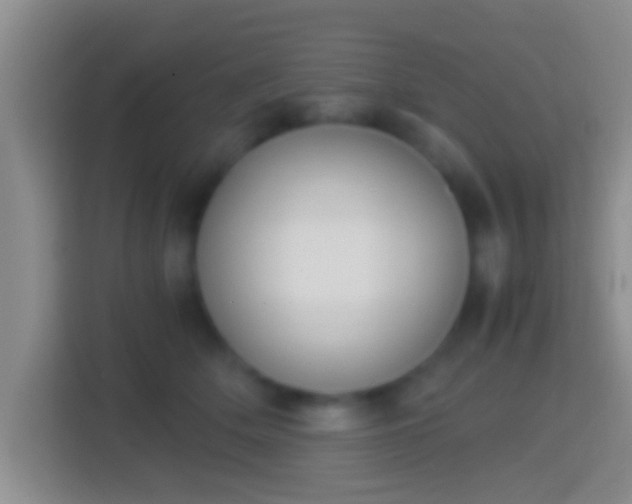 X0000114410514200910231135