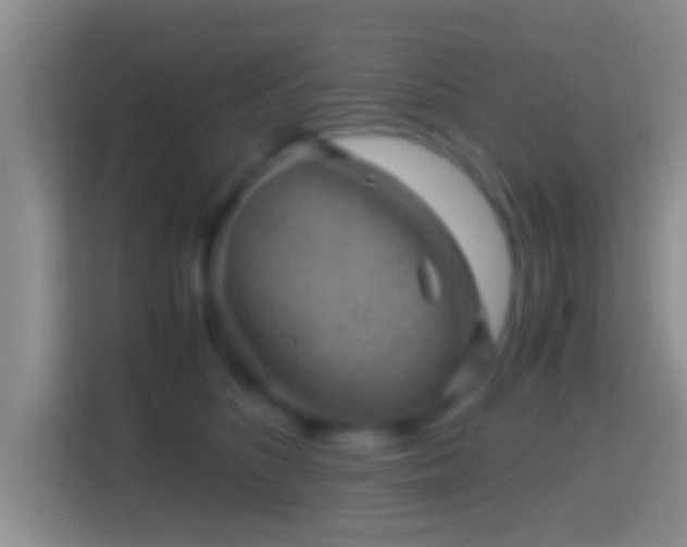 X0000114410516200910231135