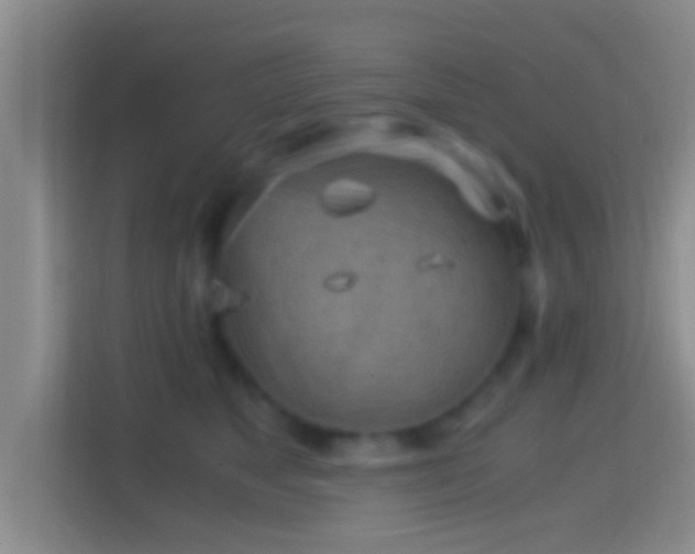 X0000114410517200910231135