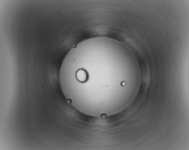X0000114410518200910231135