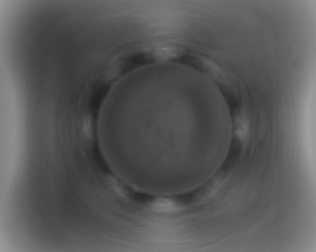 X0000114410519200910231135