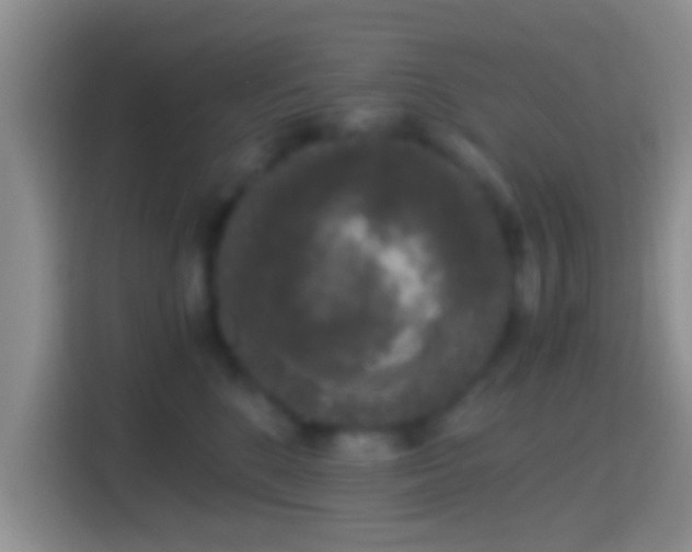 X0000114410520200910231135
