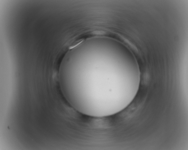 X0000114410521200910231135