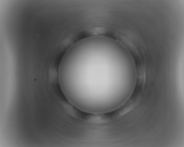 X0000114410523200910231135