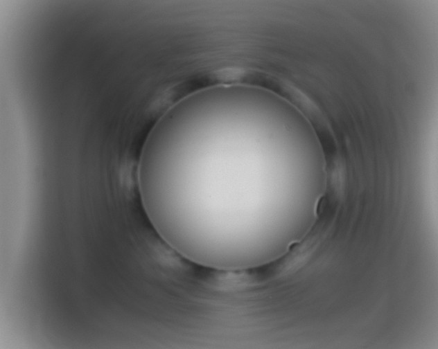 X0000114410525200910231135