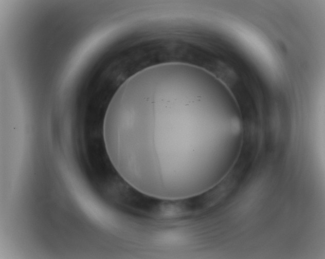 X0000114410526200910231135