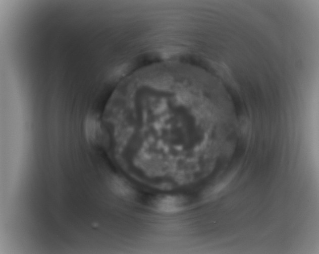 X0000114410527200910231135
