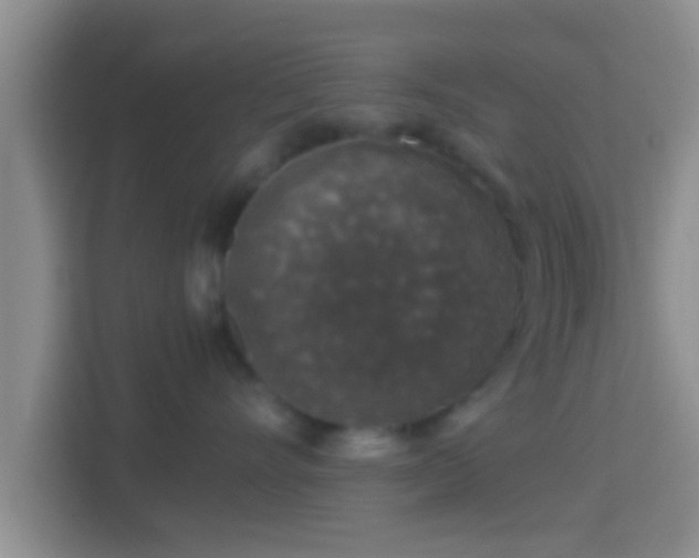 X0000114410528200910231135