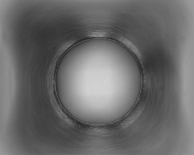 X0000114410529200910231134
