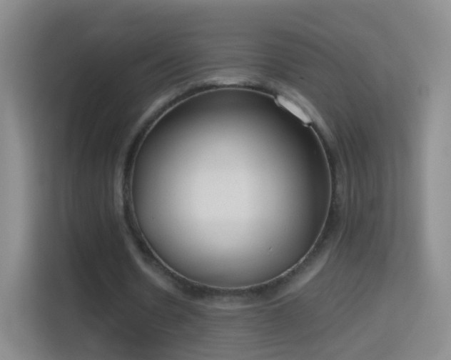 X0000114410530200910231134
