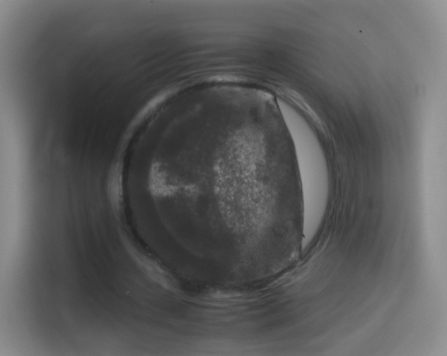 X0000114410531200910231134