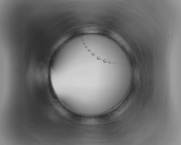 X0000114410533200910231134