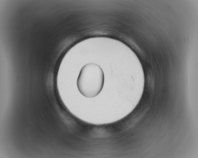 X0000114410534200910231134