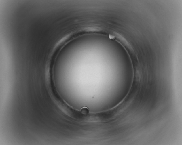 X0000114410535200910231134