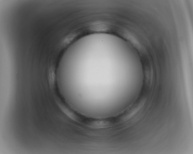 X0000114410541200910231134