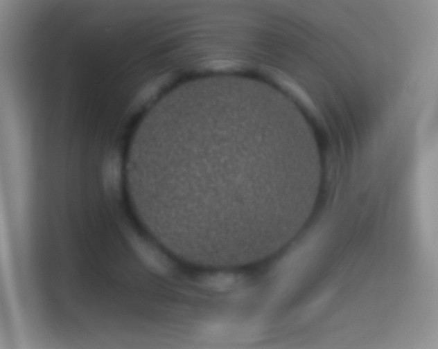 X0000114410542200910231134
