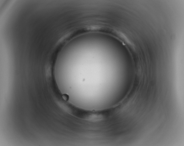 X0000114410543200910231134