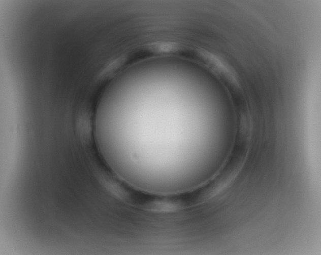 X0000114410545200910231134