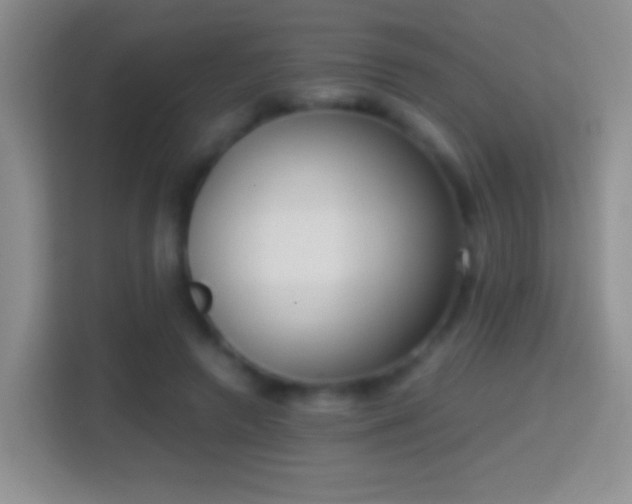 X0000114410546200910231134