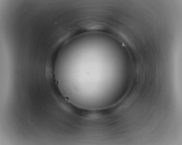 X0000114410547200910231134