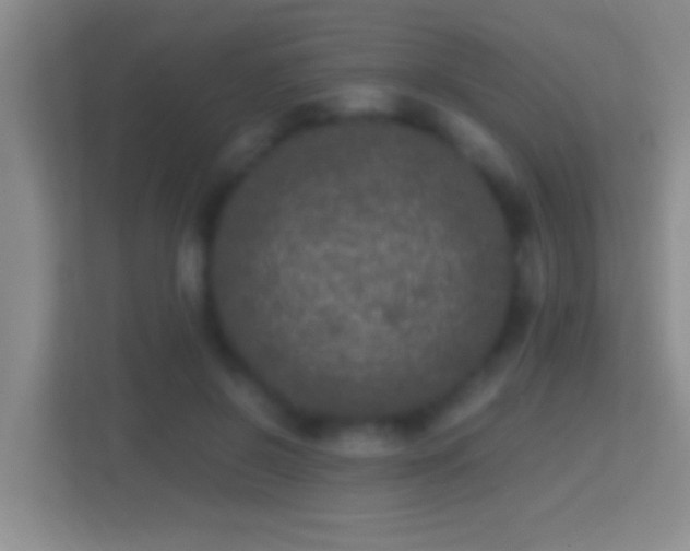 X0000114410550200910231134