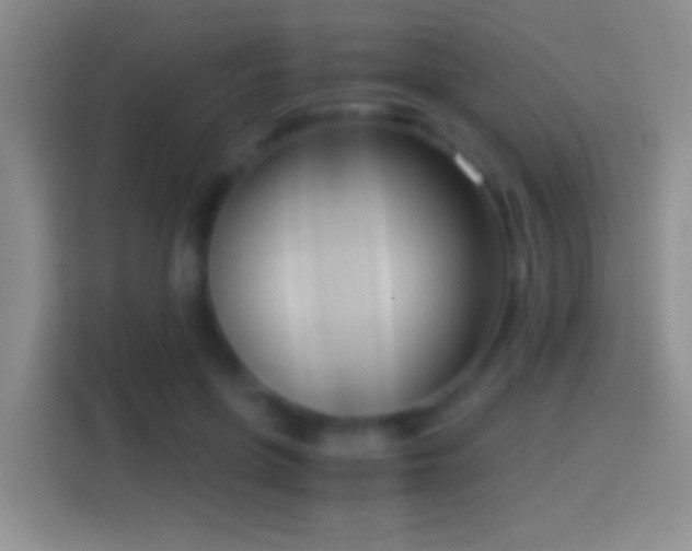 X0000114410551200910231134
