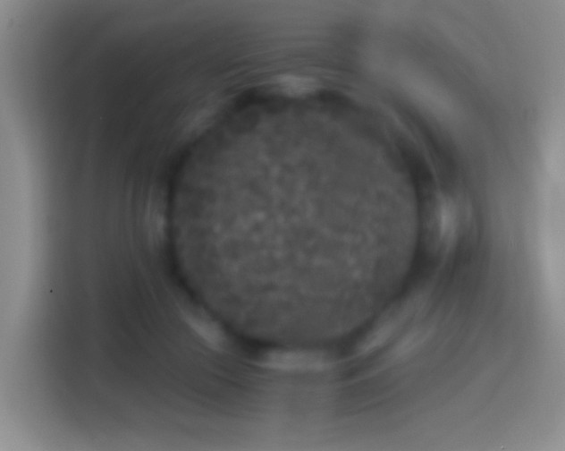 X0000114410553200910231134