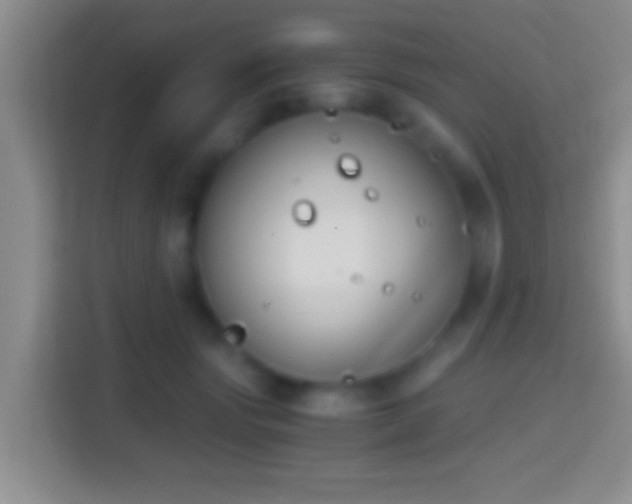 X0000114410557200910231134