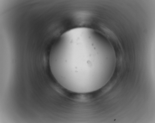 X0000114410558200910231134