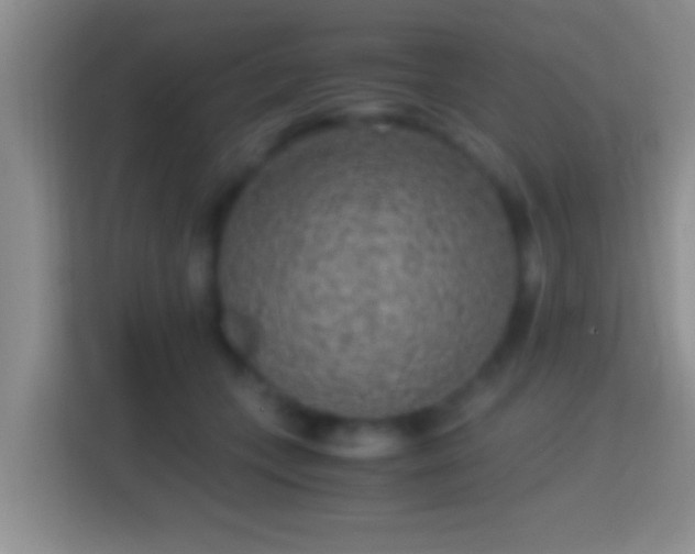 X0000114410559200910231134