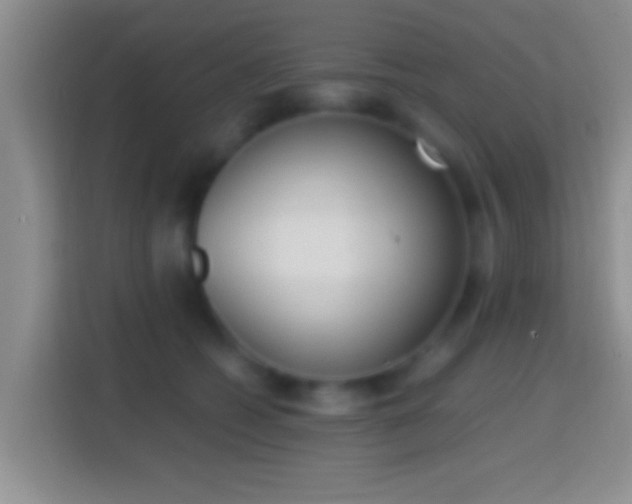 X0000114410562200910231134