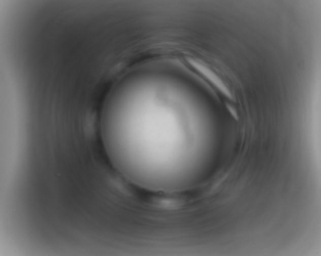 X0000114410563200910231134