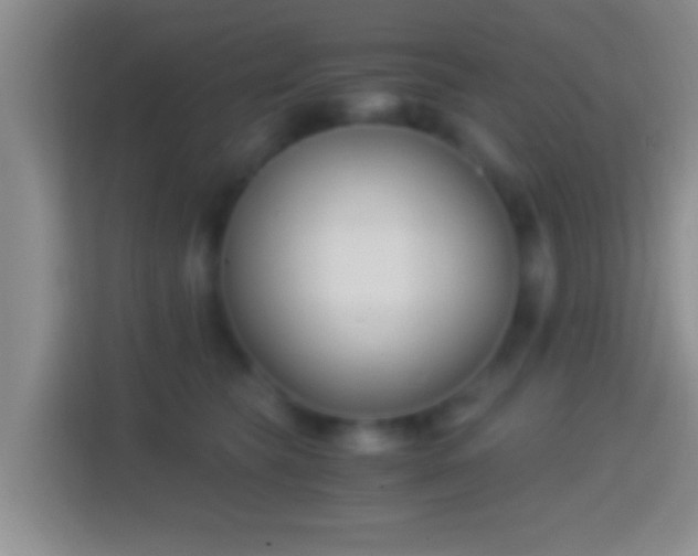X0000114410565200910231134