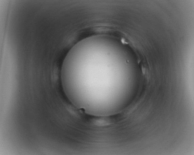 X0000114410567200910231134