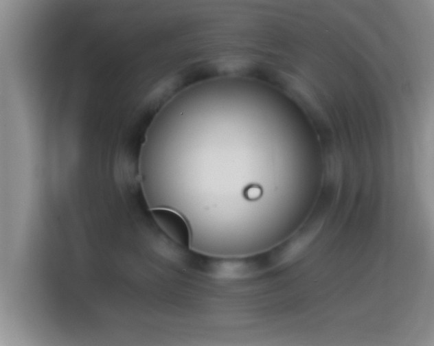 X0000114410575200910231134