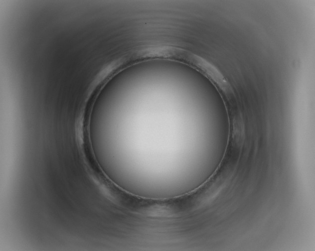 X0000114410578200910231134