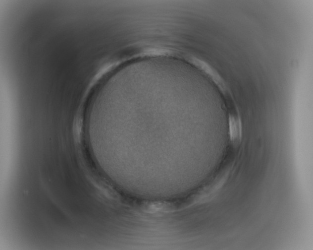 X0000114410579200910231134