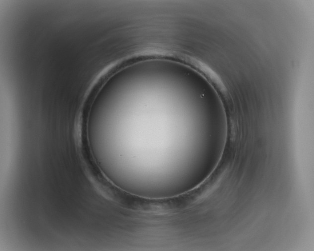 X0000114410580200910231134