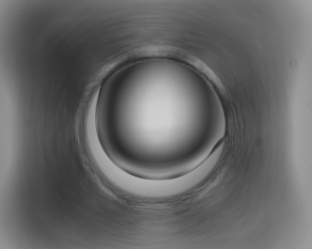 X0000114410581200910231134