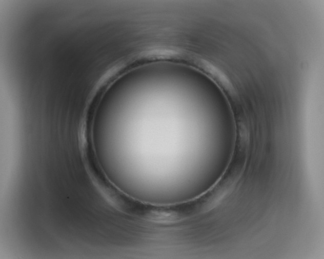 X0000114410582200910231134