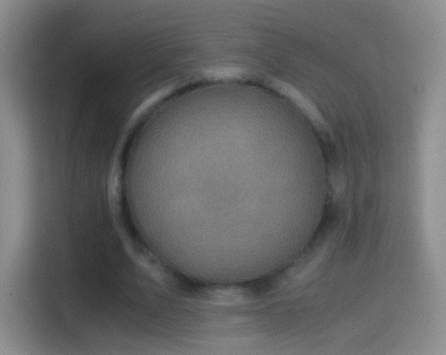 X0000114410583200910231134