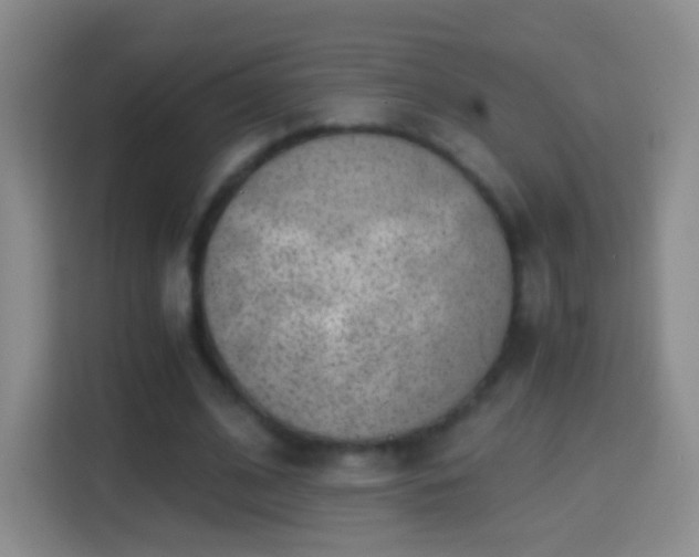 X0000114410584200910231134
