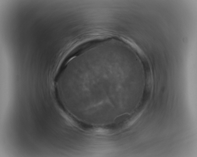 X0000114410585200910231134